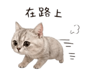 845668578