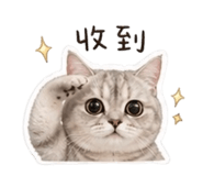 845668580
