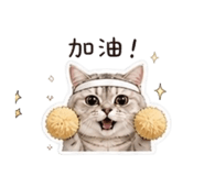 845668581