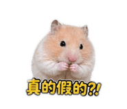 845669201