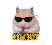 845669205