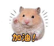 845669215