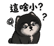 845670998