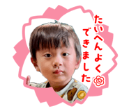 845671646