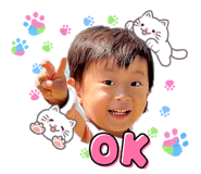 845671647