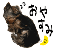 845671775