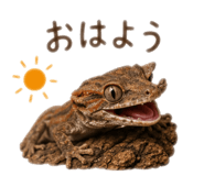 845671932