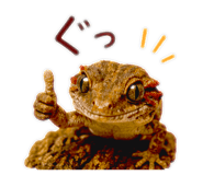 845671935