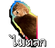 845671953