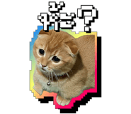 845671956