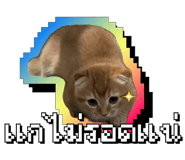 845671957