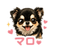 845672404