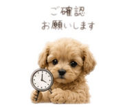 845673066