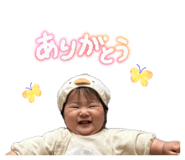 845673325