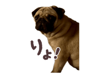 845673550