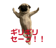 845673555