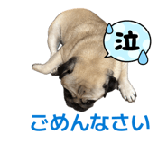 845673558