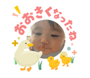 845673566