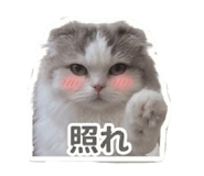 845674485