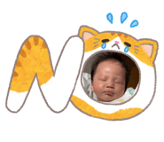 845674491