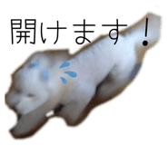 845674523
