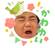 845674703