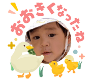 845674719
