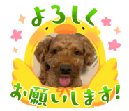 845674819