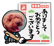 845674824