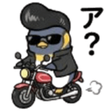 845675545