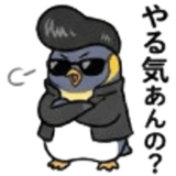 845675556