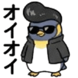 845675557