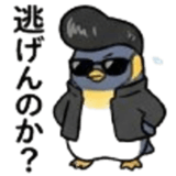 845675558