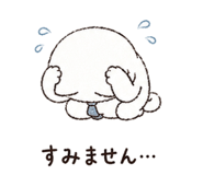 845675623