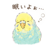 845676388