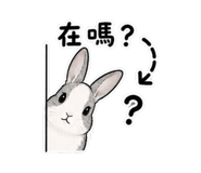 845678515