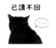 845679255