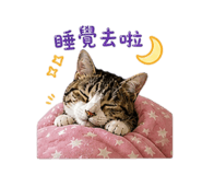 845679651