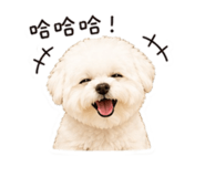 845681662