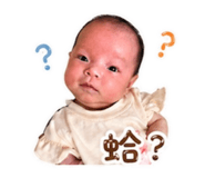 845681832