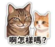 845682765