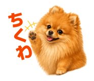 845682801