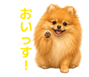 845682806