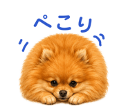 845682809