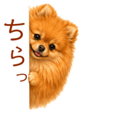 845682816
