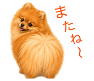 845682824