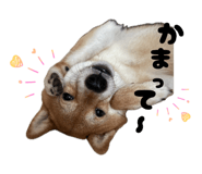 845682890
