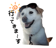 845682894