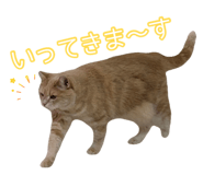 845684244