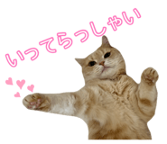 845684245